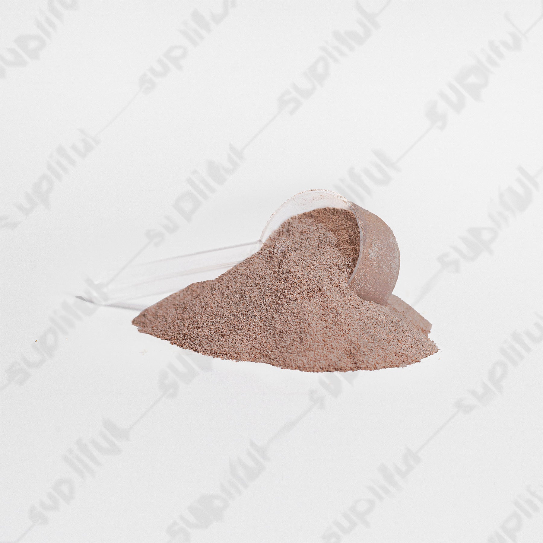 Advanced 100% Whey Protein Isolate (Chocolate)